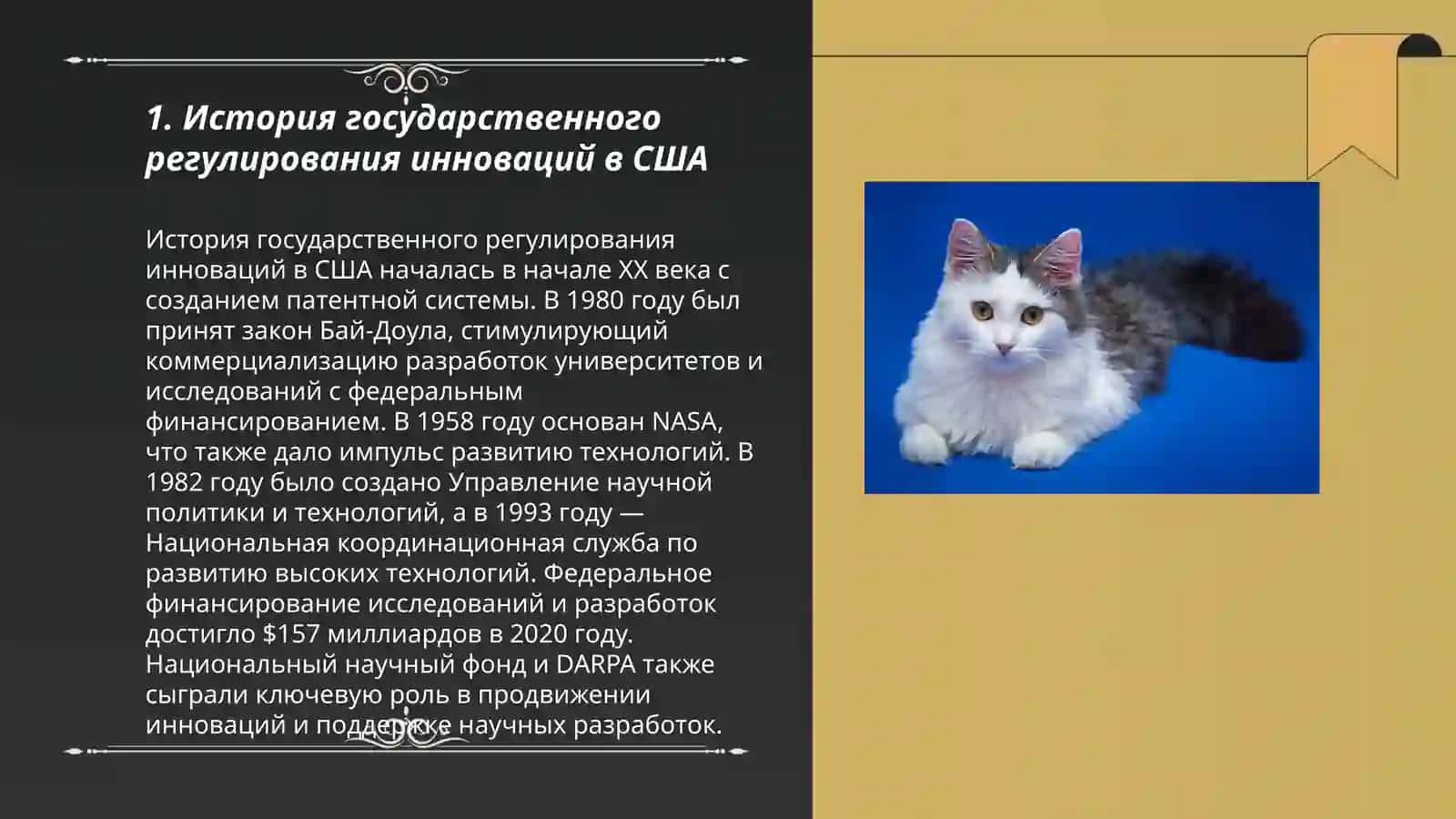 Государственное регулирование инновационной деятельности в США 3