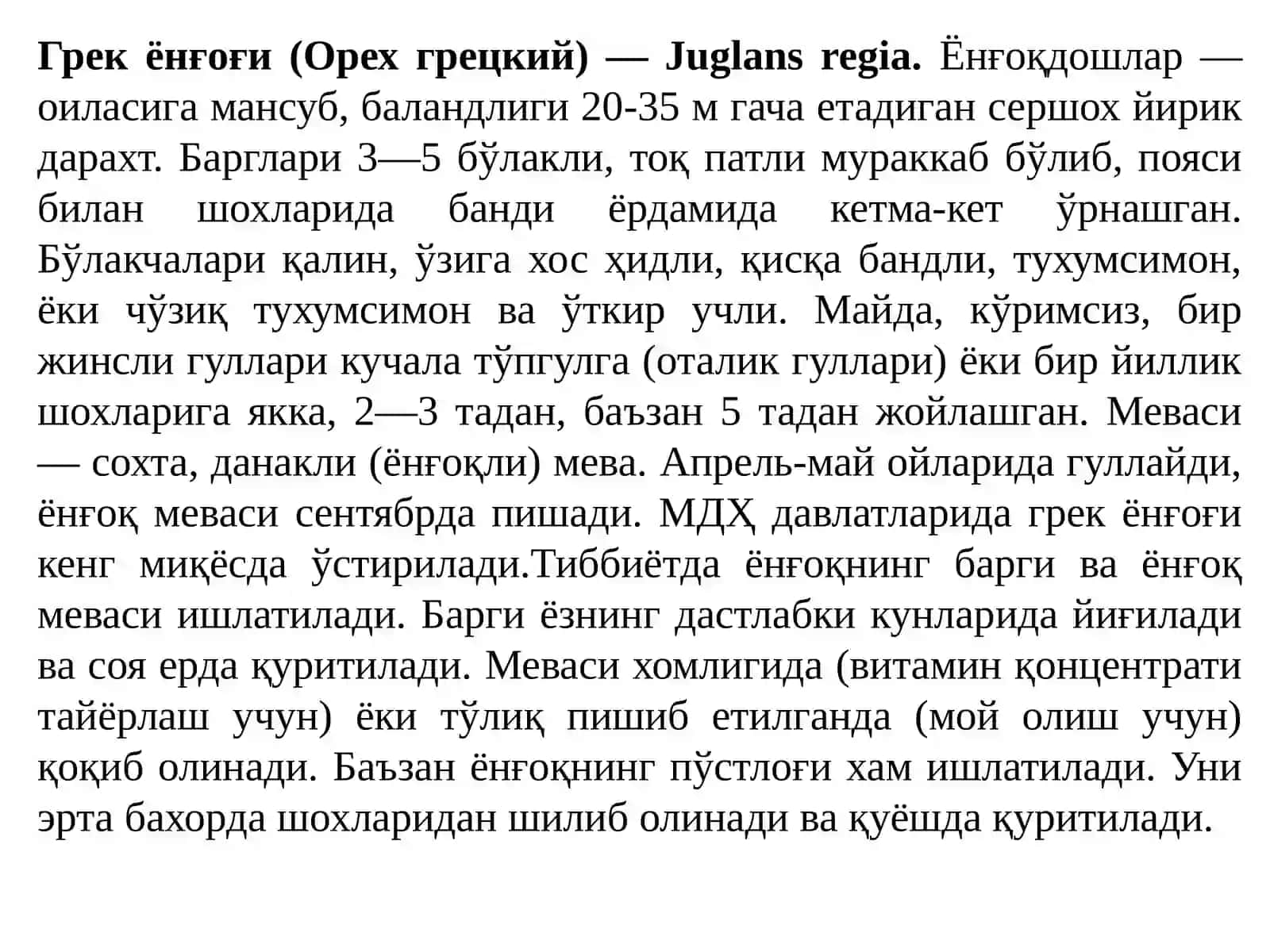 Грек ёнғоғи (Орех грецкий) 3