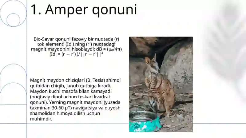 Yerning magnit maydoni 3