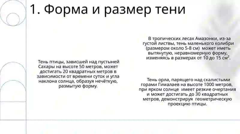Тень птицы 3