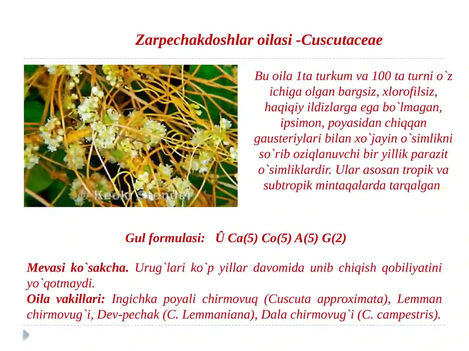 BIOTEXNOLOGIYA FAKULTETI BIOLOGIYA YO’NALISHIBIO-BU-23TALABASI 3
