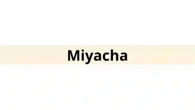 Anatomiya 3