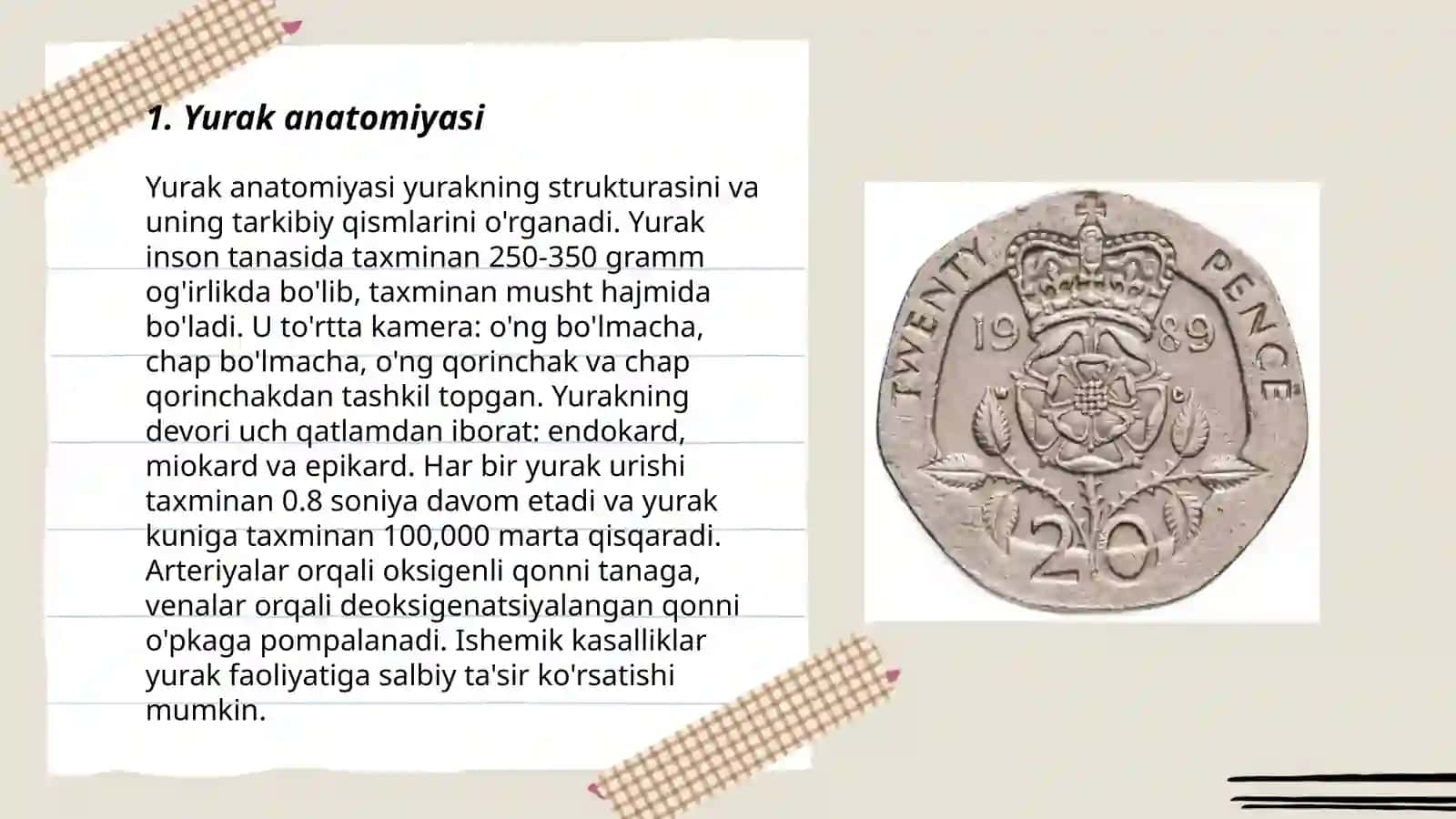 Yurak anatomiyasi 3