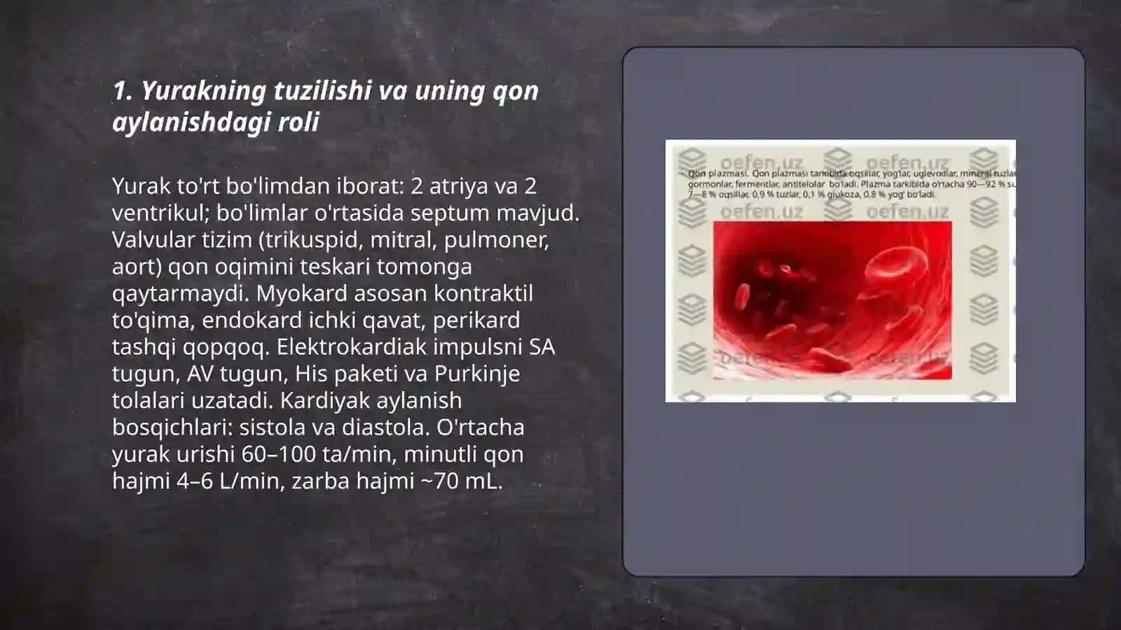 Qon aylanishi fiziologiyasi. Gemodinamikaning asosiy koʻrsatkichlari 3