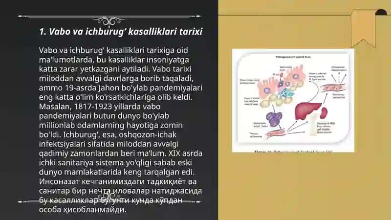 Vabo, ichburugʻ qorin tifi kasalliklarini tarqalish sabablari va davo choralari bilan tanishish 3