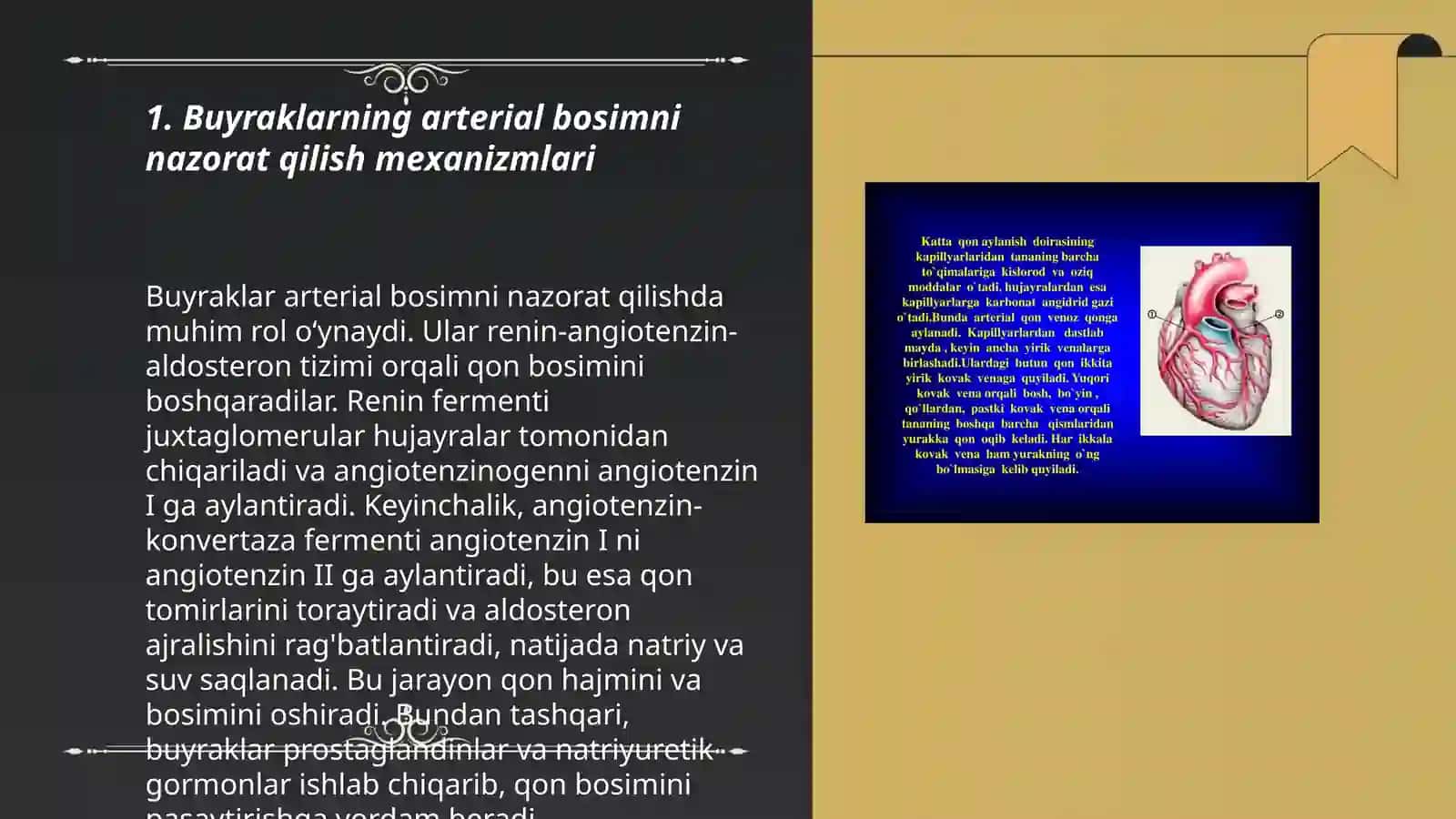 Buyraklarning arterial bosimni nazorat qilish mexanizmlari 3