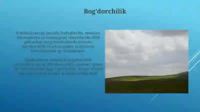 Bog'dorchilik 3