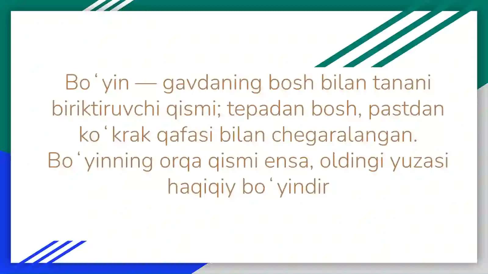 Boʻyin muwakları fızıologıyası 3