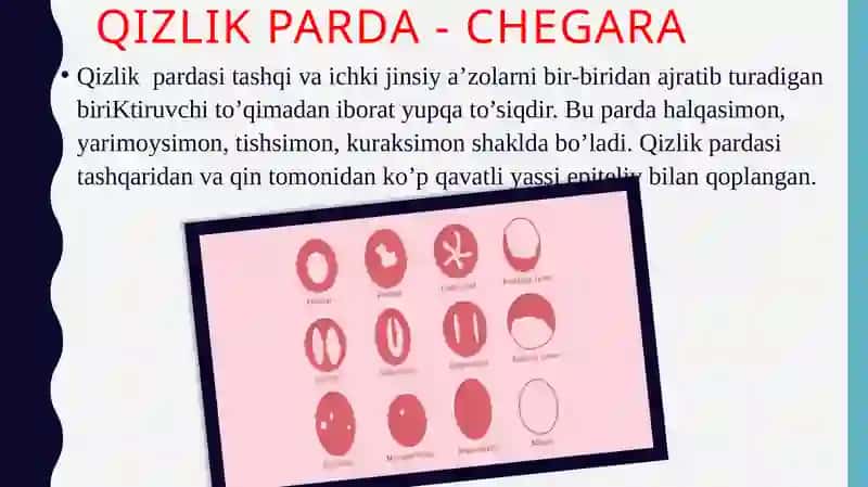 Ayollar jinsiy tizimining klinika-anatomiyasi 3