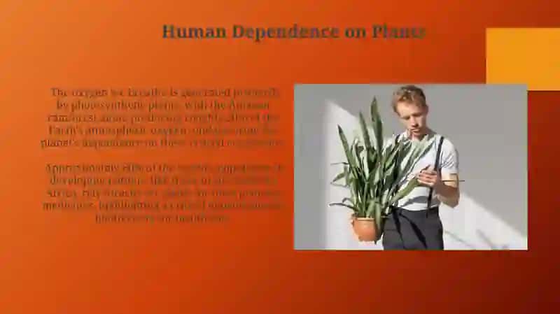 Human Dependence on Plants 3
