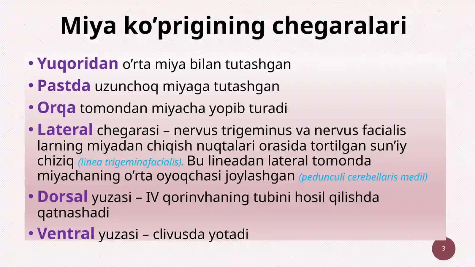 Miyako’prigi(pons)vamiyacha(cerebellum) 3
