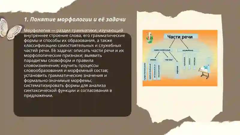 Морфология. Самостоятельные и служебные части речи. 3