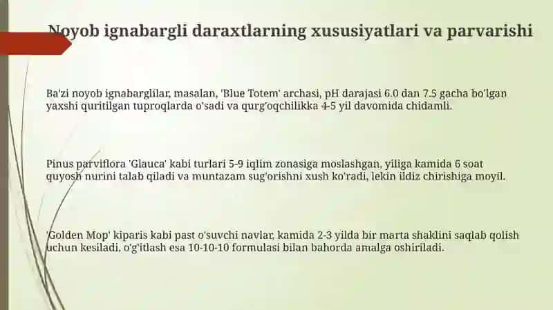 Noyob ignabargli daraxtlar 3