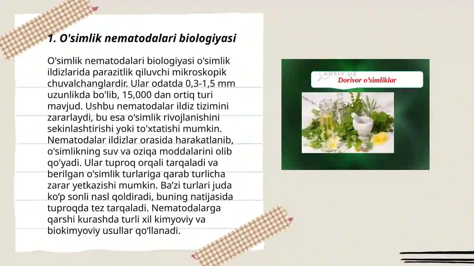 O‘simlik nematodalari va ularning g‘o‘za, g‘alla ekinlari, poliz va sabzavot ekinlari, sitrus o‘simliklarida parazitlik qilib zarar keltiruvchi vakillari 3