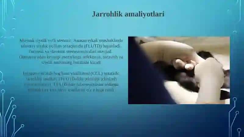 Veterinariya sohasiga oid terminlar 3