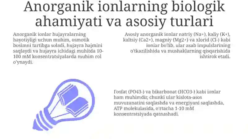 Noorganik ionlar ularning funksiyalari 3