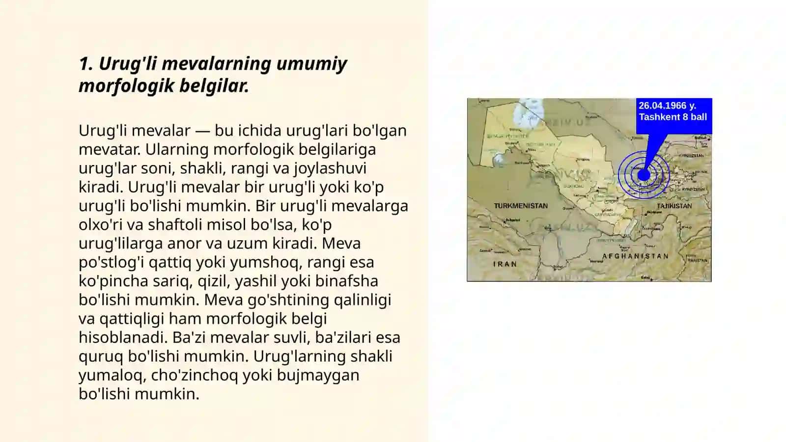 Urug'li va danakli mevalar 3