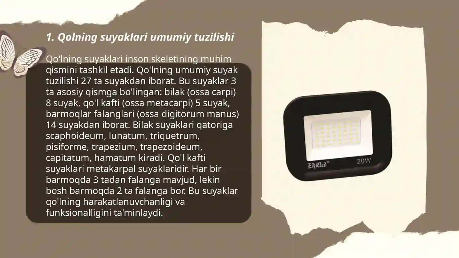 Qolning suyaklari umumiy tuzilishi 3