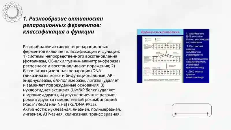 Репарация ферметлари фаолиятининг хилма-хилиги 3
