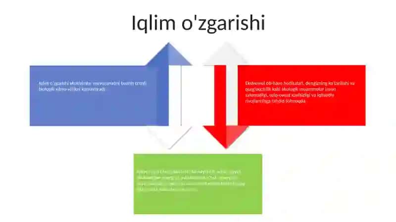 Yirik Ekologik Muammolar Va Ularning Yechimi 3