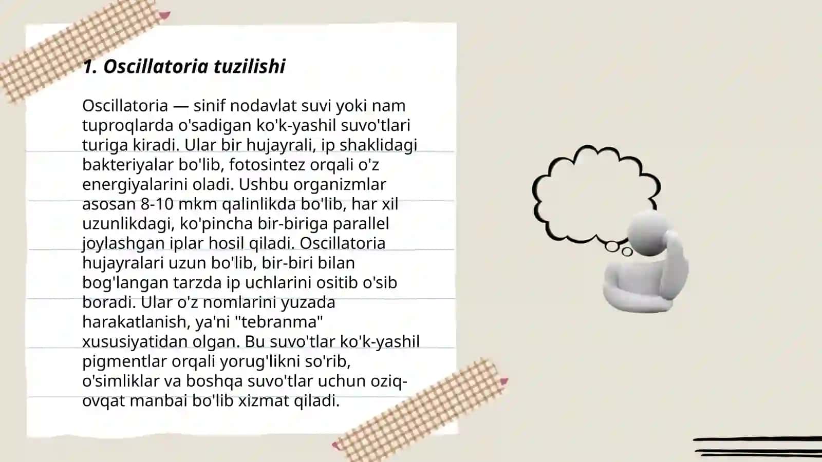 Kõk yashil suvõtlar bõlimi osillatoriya nostokning tuzilishi va kopayishi 3