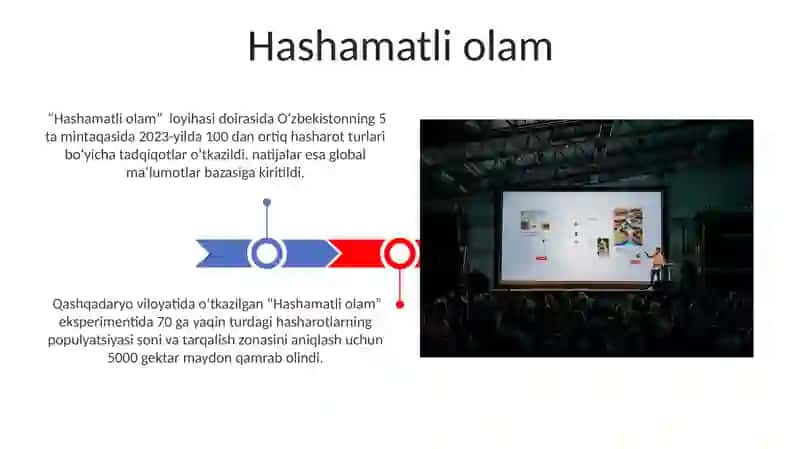 Hashorotlarlar ekalogiyasiga doir taqdimot tayyorlash 3