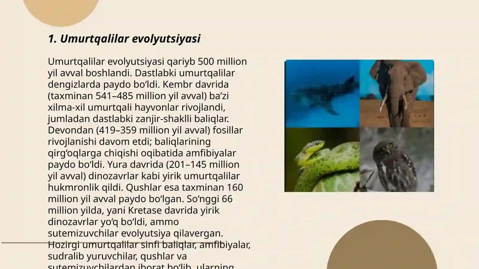 Umurtqalilarning kelib chiqishi va evolyutsion taraqqiyotiga doir paleontologik tasavvurlar 3
