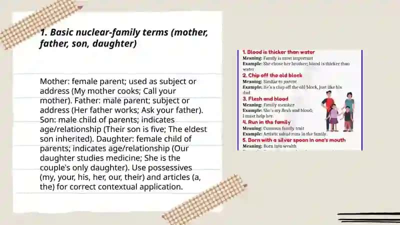 Family and Kinship Vocabulary 3