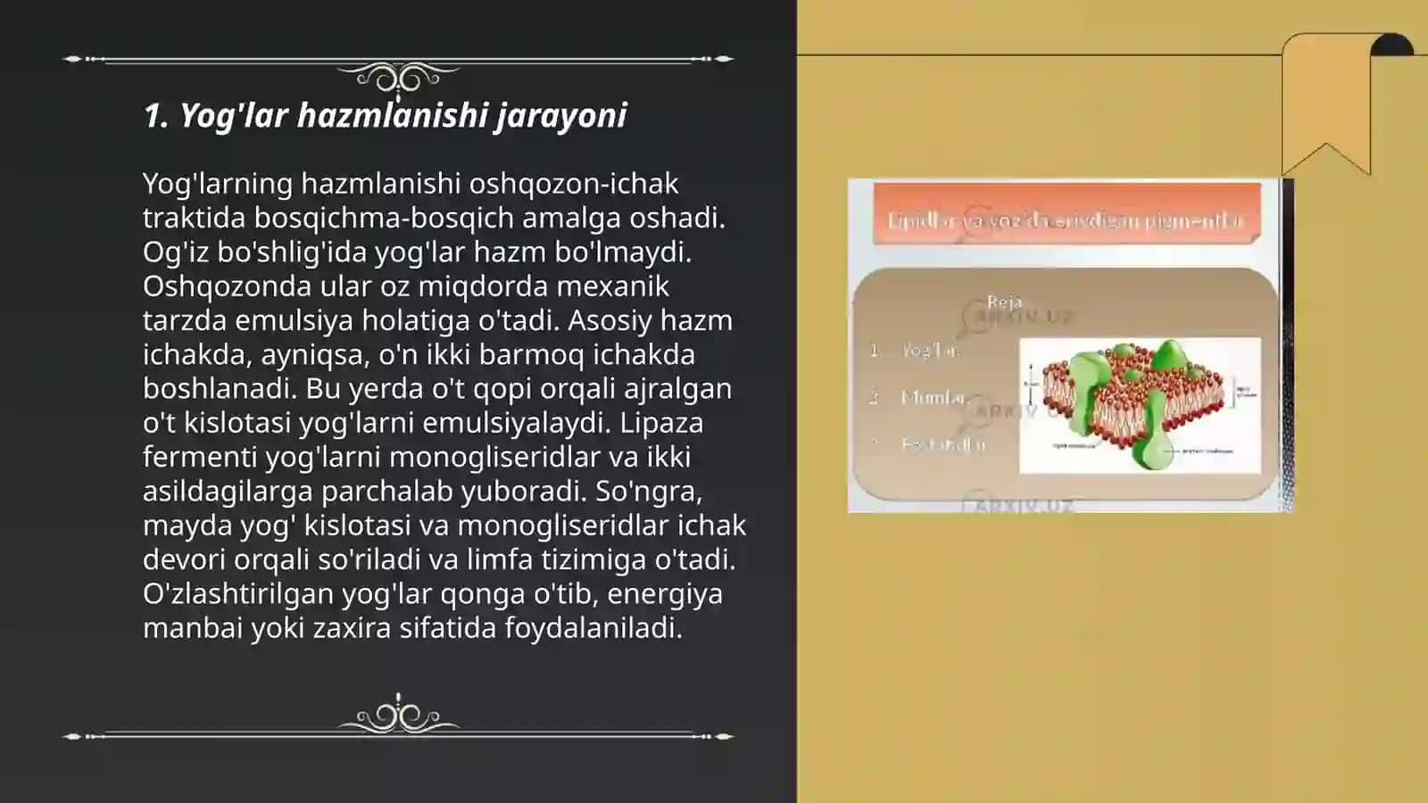 Surunkali gepatitlar va holetsistitlarda yog'lar hazmlanishini buzulishi 3