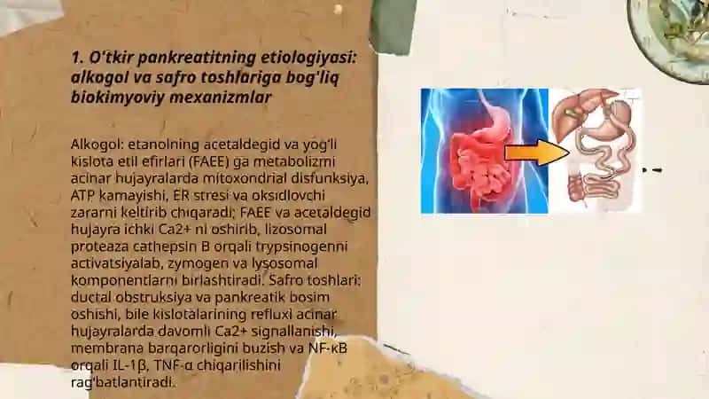 O'tkir pankreatit kelib chiqishi va davolashning biokimyoviy asoslari 3