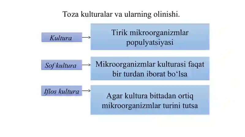 Mikrobiologik usullar 3