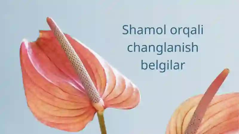 OCHIQ XAZMAGAM TIPDA CHANGLANISH 3