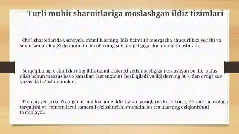 O'simliklar ildiz tizimining tiplari tuzilishi va funksiyasi 3