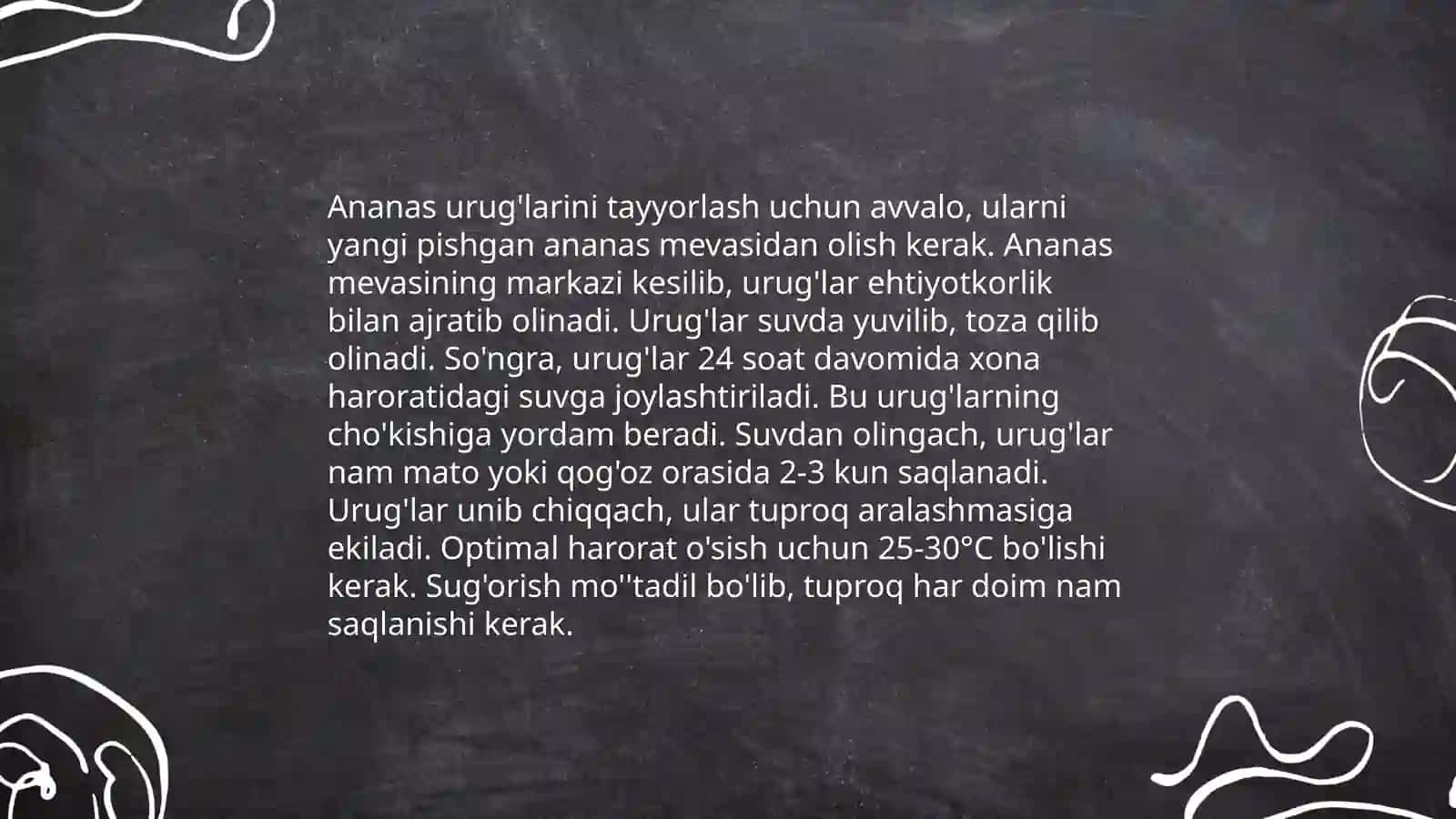 Ananas yetishtirish texnologiyasi 3
