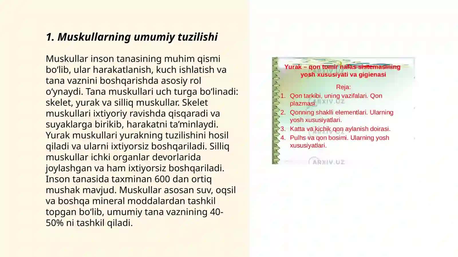 Muskullarning umumiy tuzulishi va uning yosh xususiyatlari 3