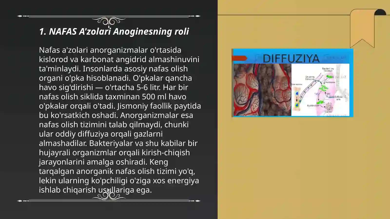 NAFAS A'zolari Anogines 3