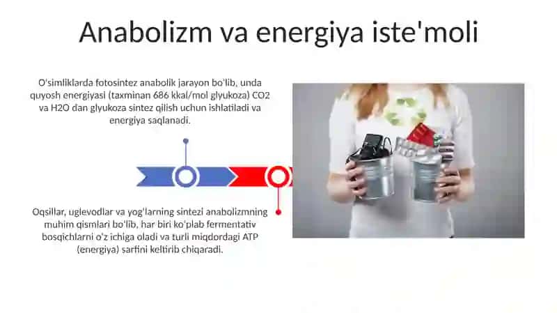 Metabolik jarayonlar energiya balansi 3