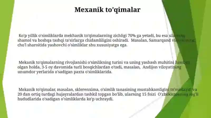 O'simlik to'qimalarini kelib chiqishiga va joylanishiga ko'ra klassifikatsiyasi 3