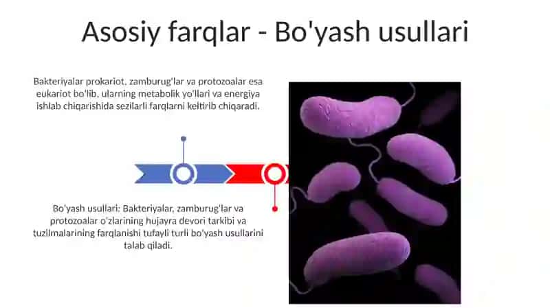 Bo'yash usullari 3