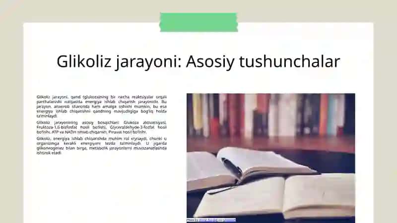 Jigarda glikoliz va glikoneogenezni boshqarilishi 3