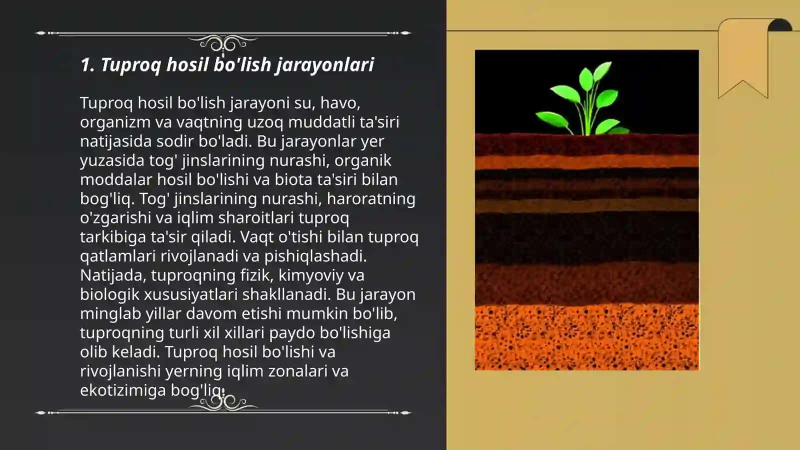 Organizmlar va tuproq hosil bo'lishi hamda geografiyasi 3