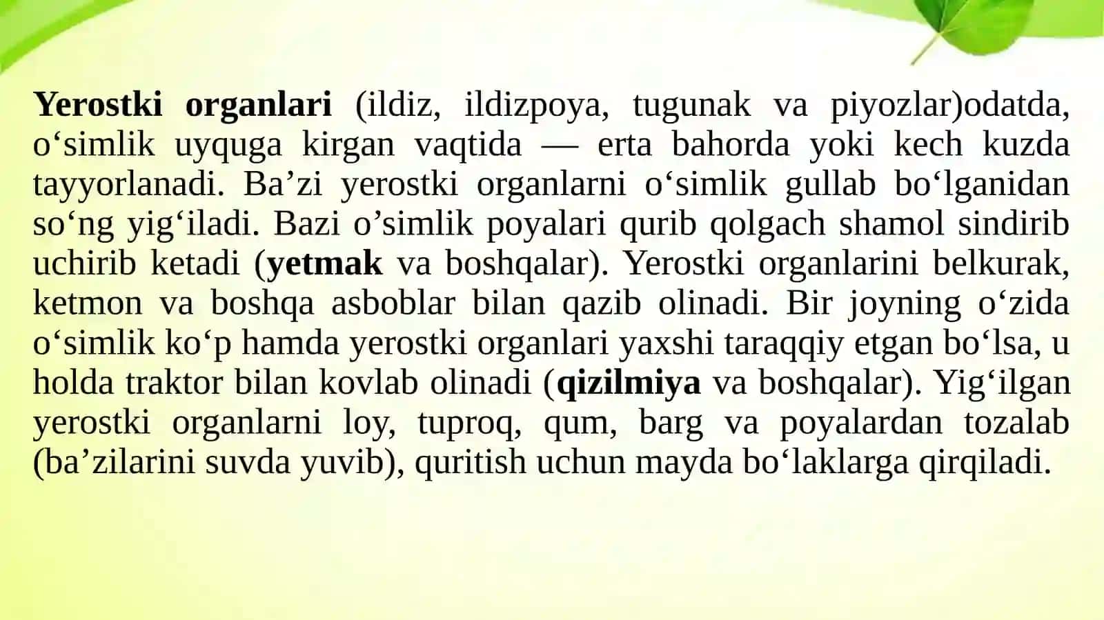 Dorivor o’simliklarni tayyorlash, quritish, idishlarga joylashtirish va saqlash 3