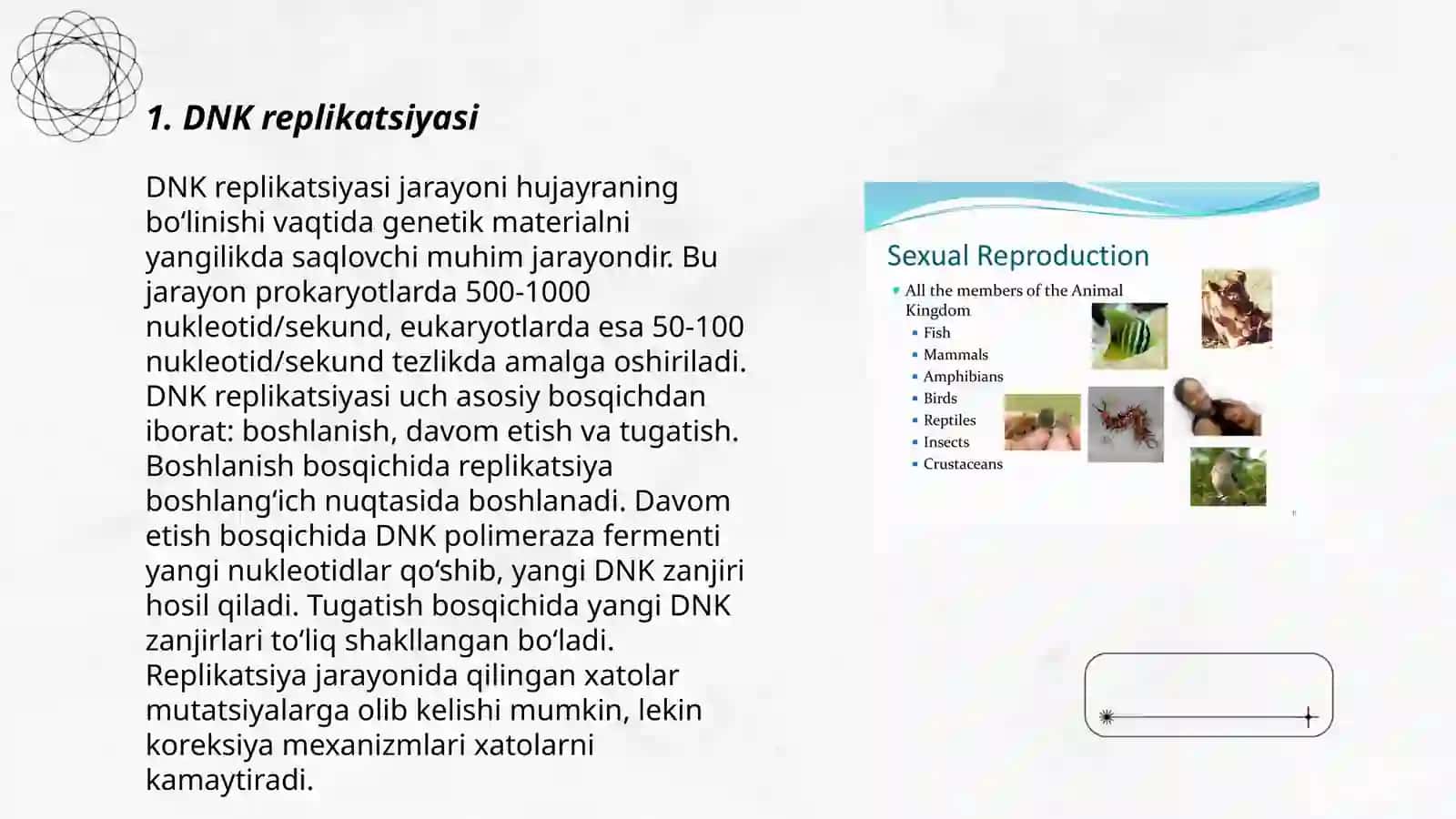 Tirik organizmdagi matritsali biosentezlar 3