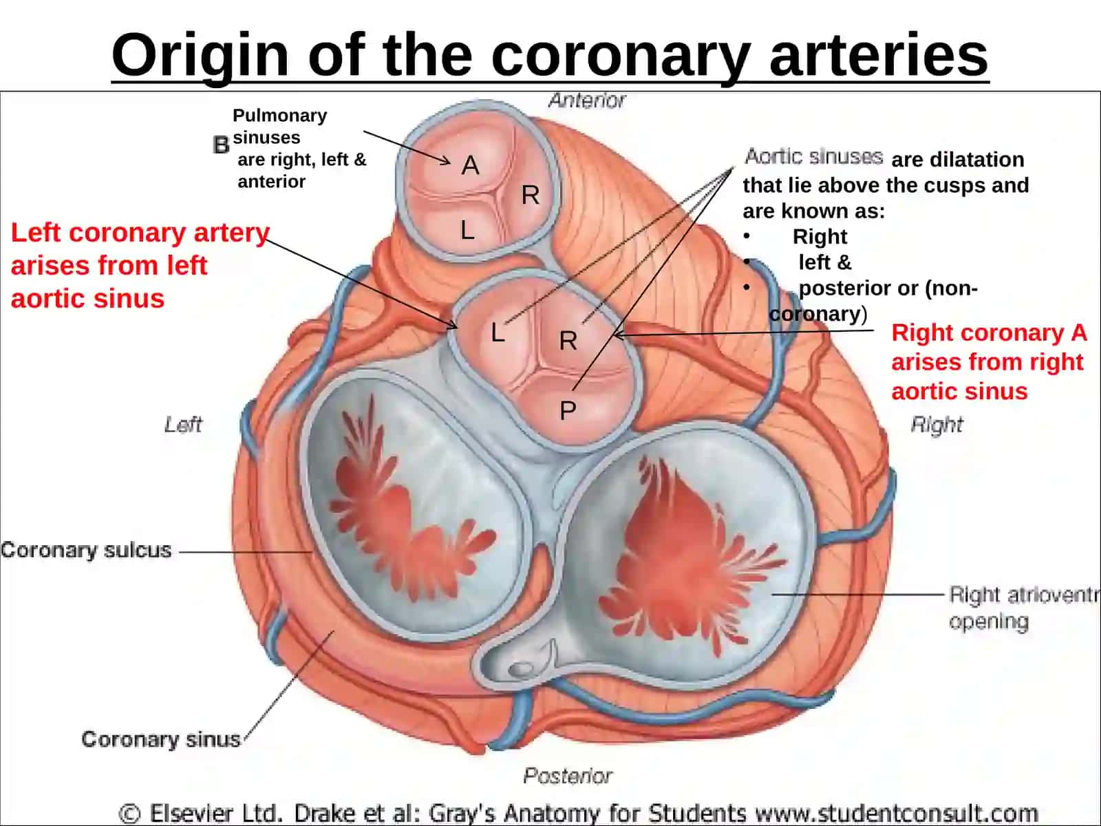 Anatomy of THE HEARTcon’t 3