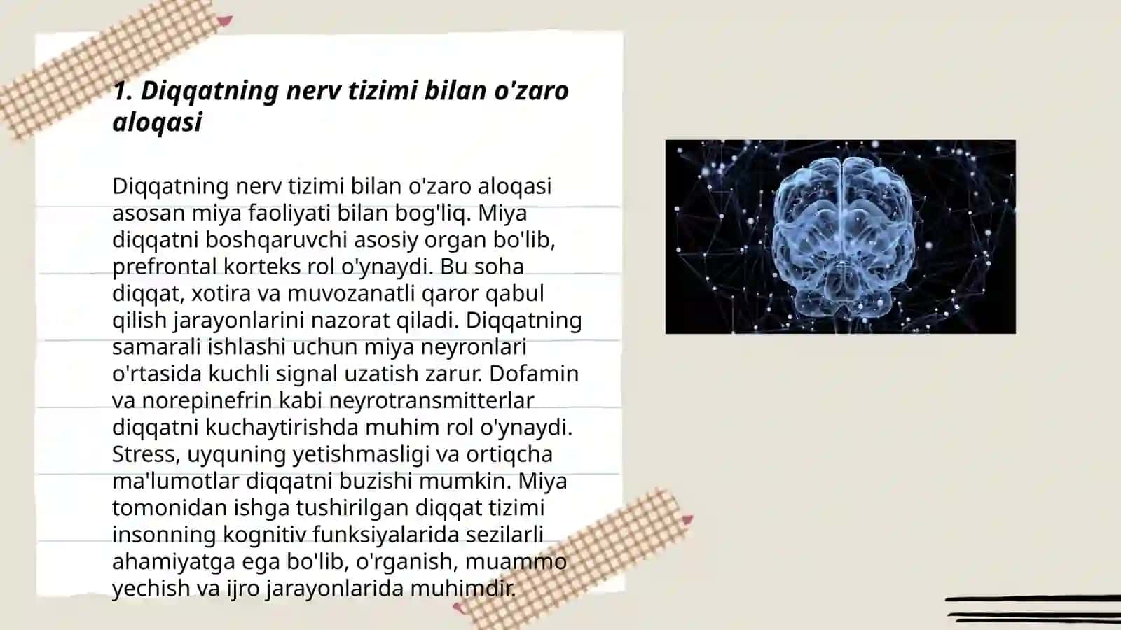 Diqqatning nerv-fiziologik asoslari 3