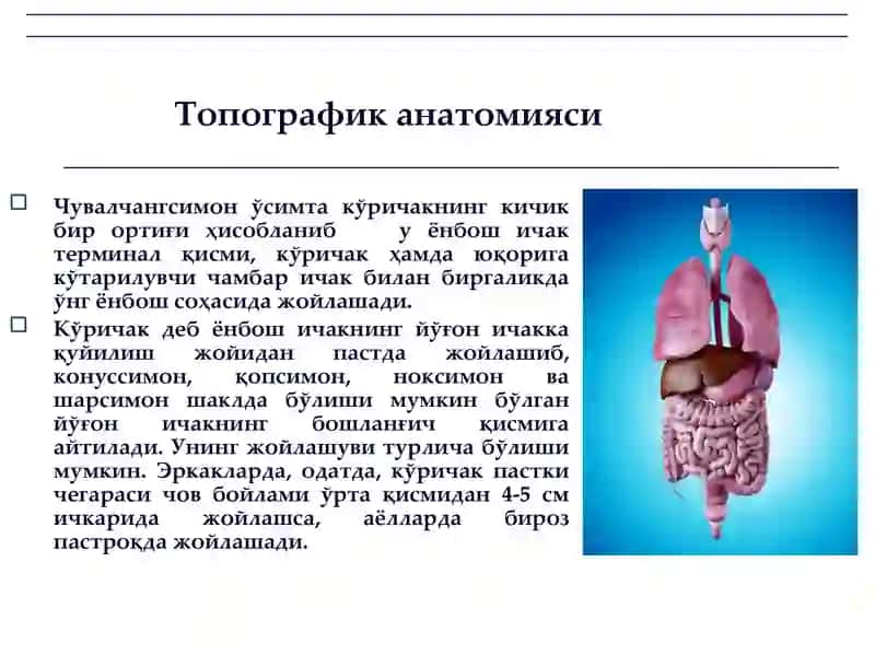 Ўткир аппендицит ва унинг асоратлари 3