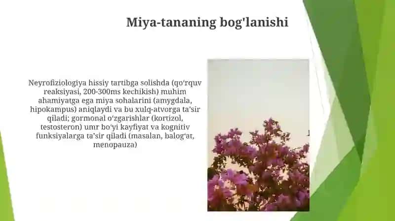 Psixologiyafaninioʻzlashtirishdafiziologiyaningoʻrni 3