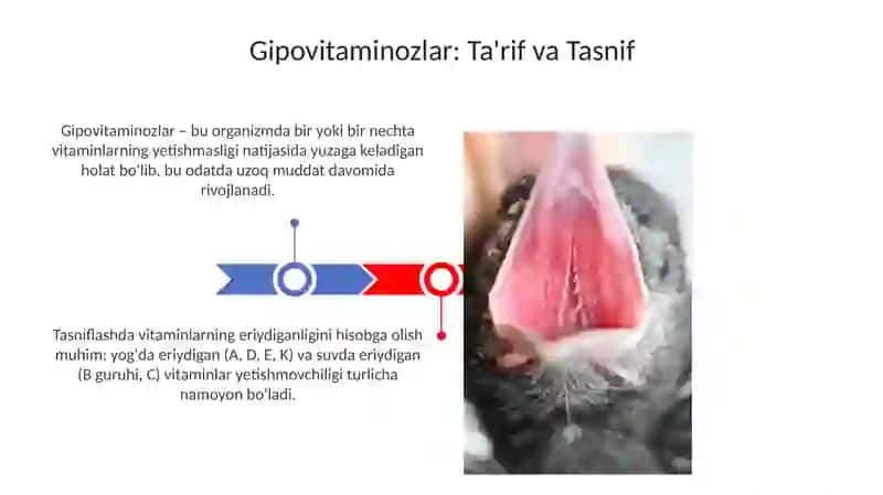 Gipovitaminozlar va ularni og'iz bo'shlig'i to'qimalarida namoyon bo'lishi 3