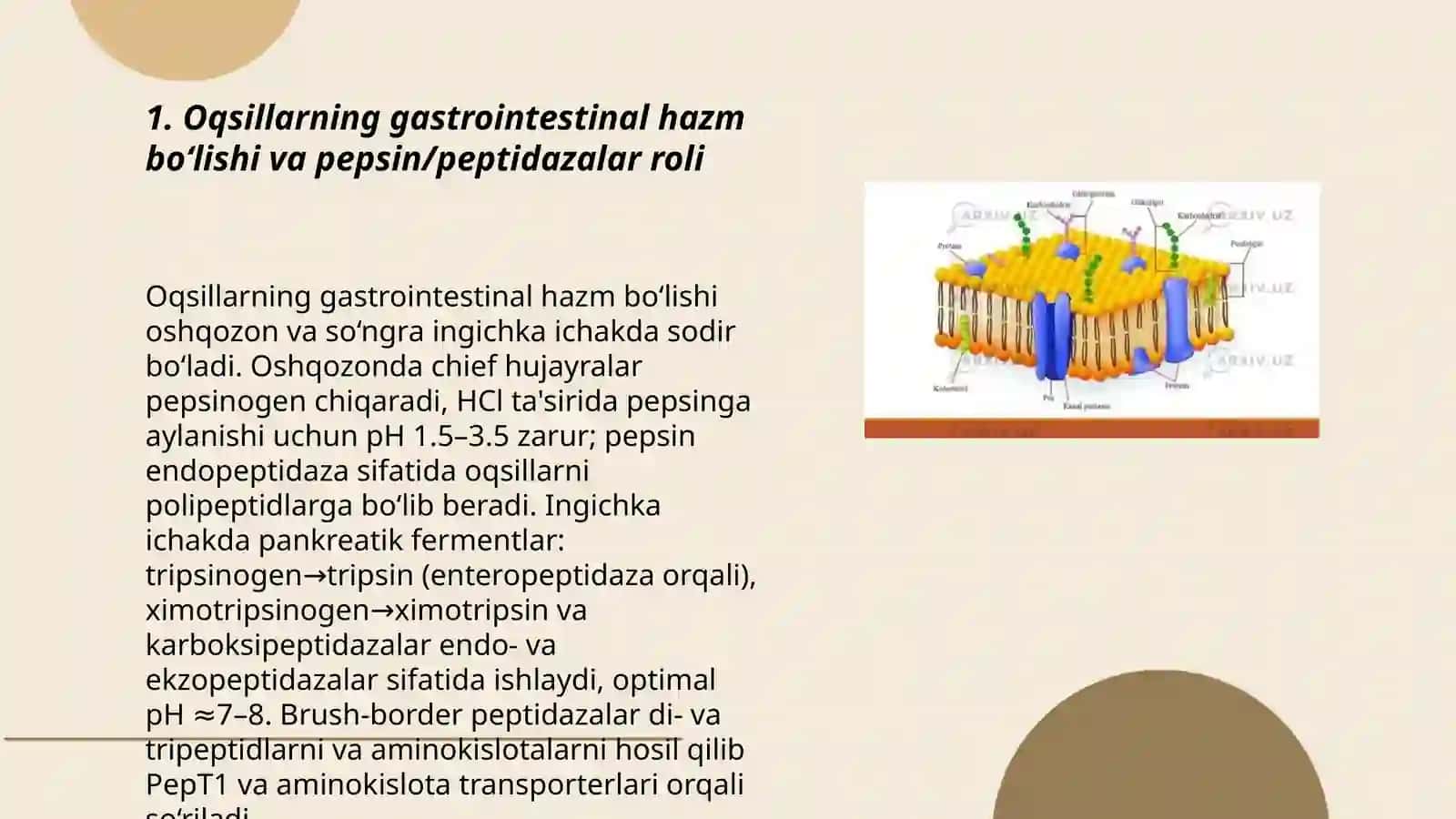 Odambiovksillarning biokimyoviy o'zgarishi 3