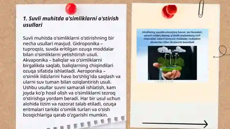 Oʻsimliklarni turli muhit sharoitida oʻstirish:Tajriba va tavsiyalar 3